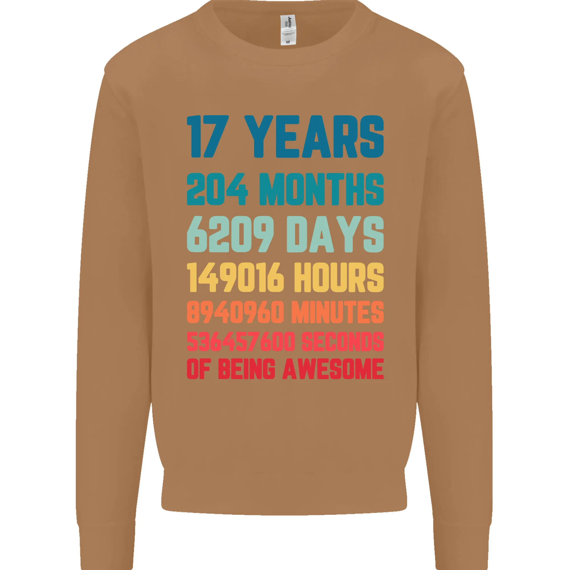 17th Birthday 17 Year Old Mens Sweatshirt Jumper