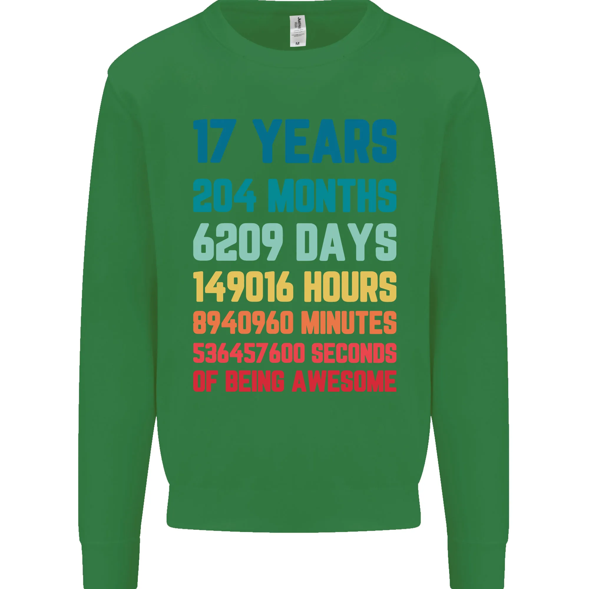 17th Birthday 17 Year Old Mens Sweatshirt Jumper