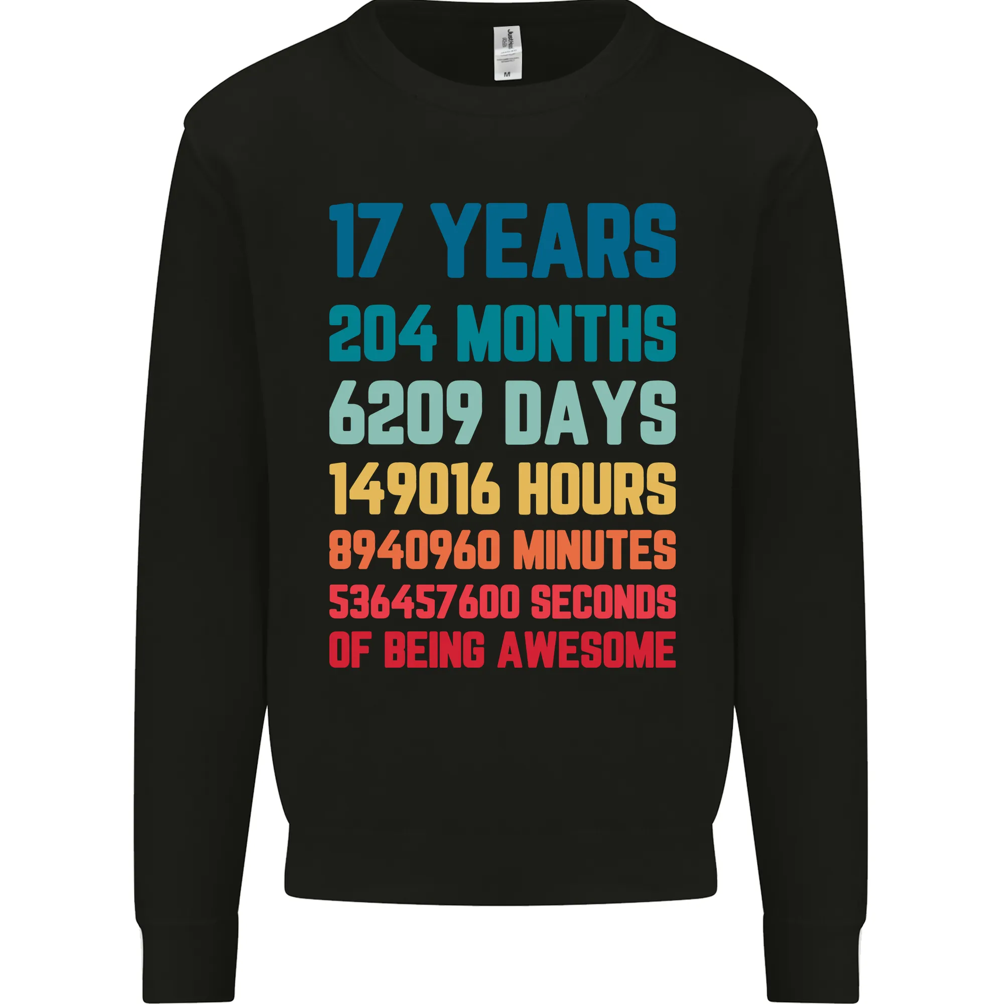 17th Birthday 17 Year Old Mens Sweatshirt Jumper