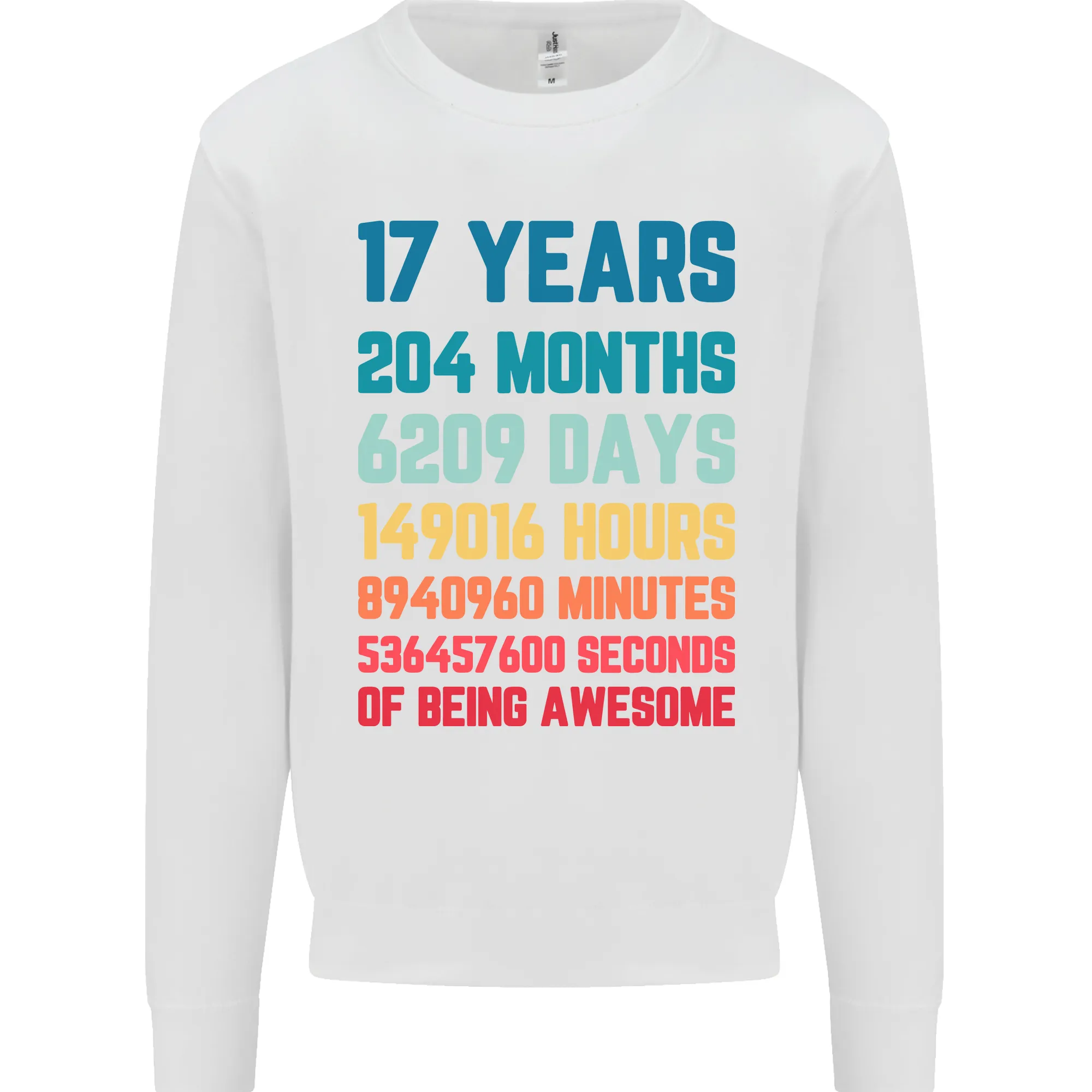 17th Birthday 17 Year Old Mens Sweatshirt Jumper